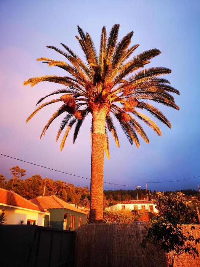 Villa Pino Redondo Puntagorda Esterno foto