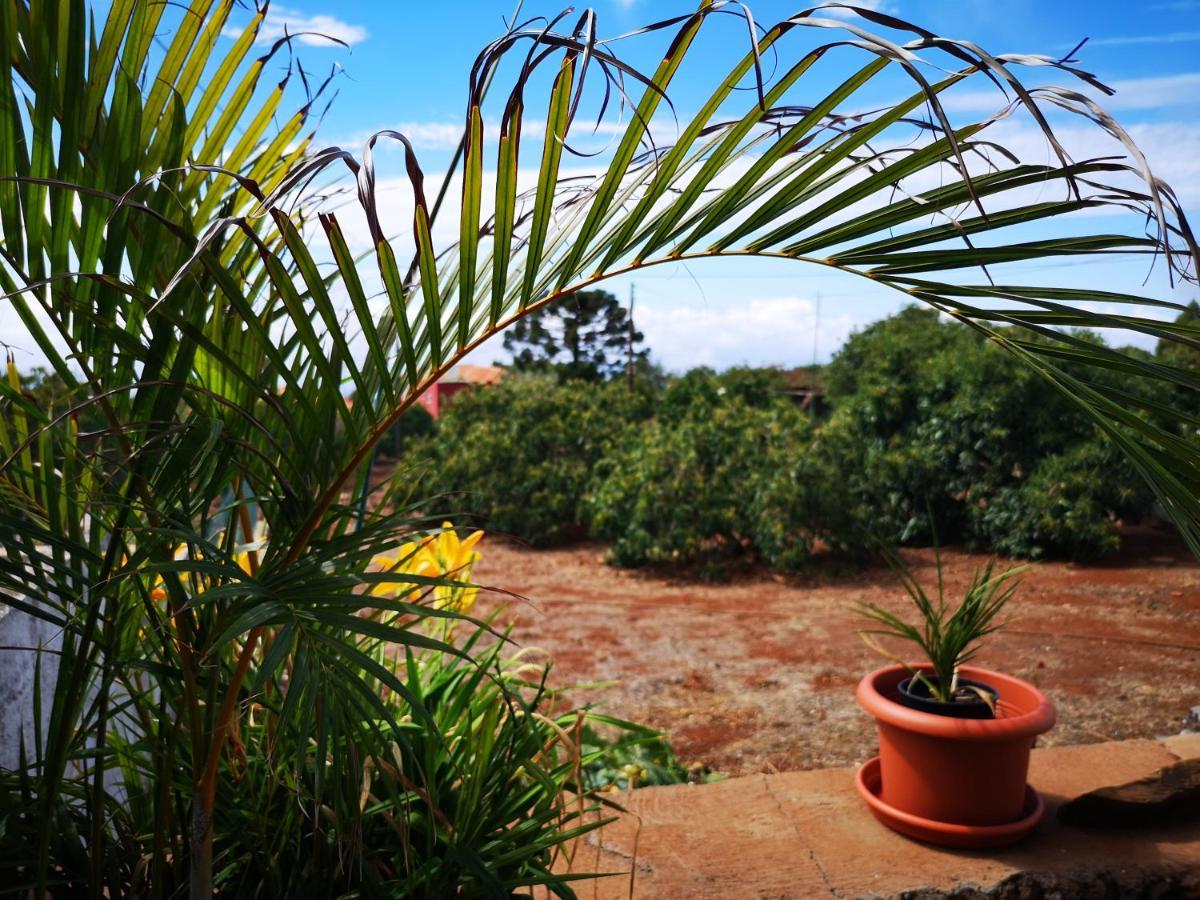 Villa Pino Redondo Puntagorda Esterno foto