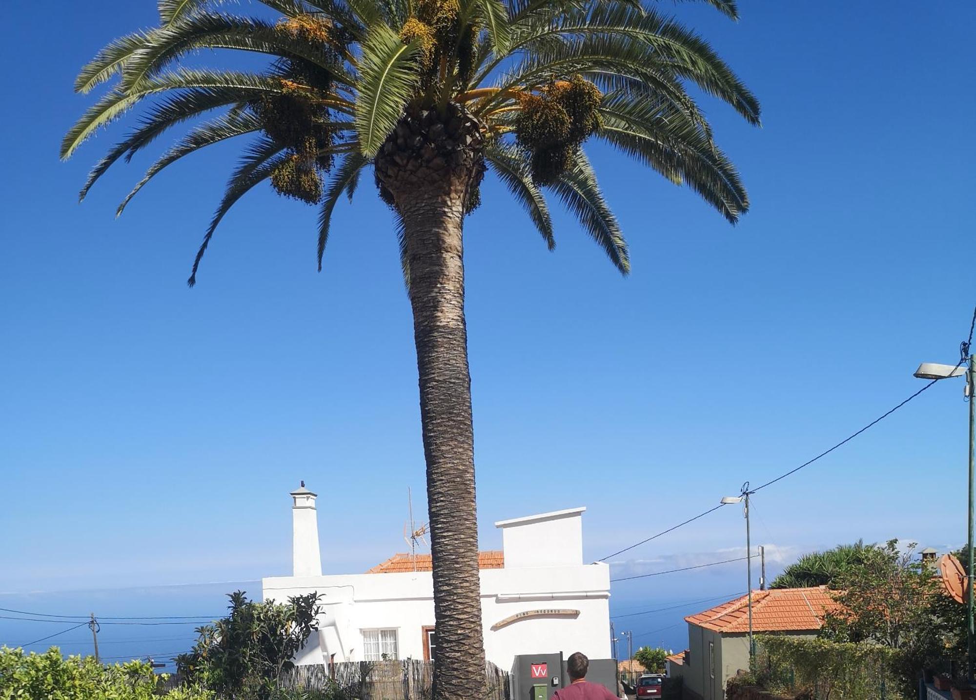 Villa Pino Redondo Puntagorda Esterno foto